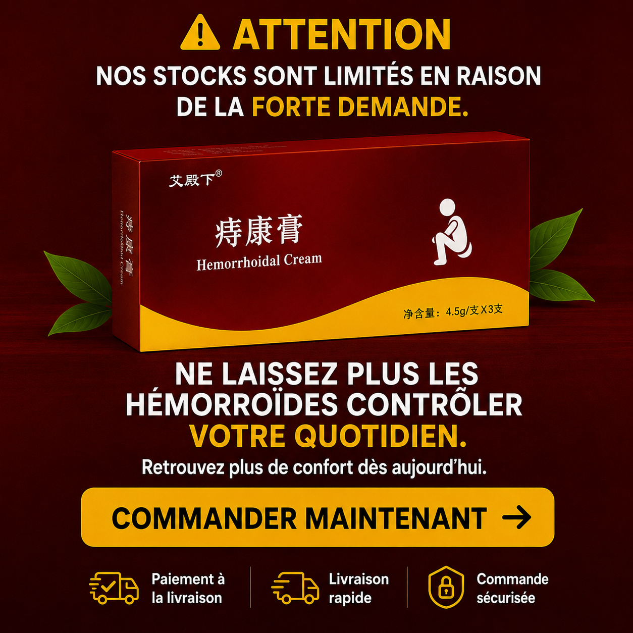 Dites adieu aux hémorroïde, soulagement rapide, sans douleur ni déchirure naturel